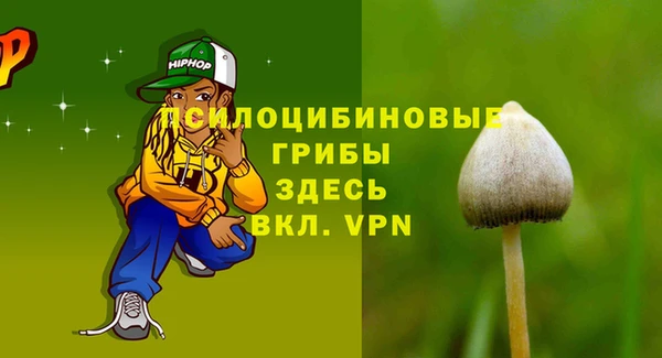 ПСИЛОЦИБИНОВЫЕ ГРИБЫ Богородицк